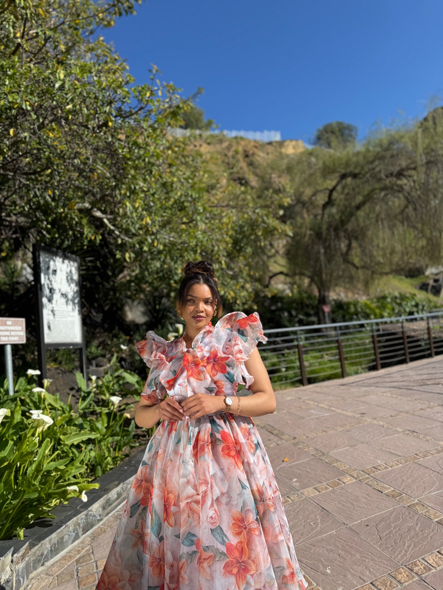 Shenell floral organdy dress