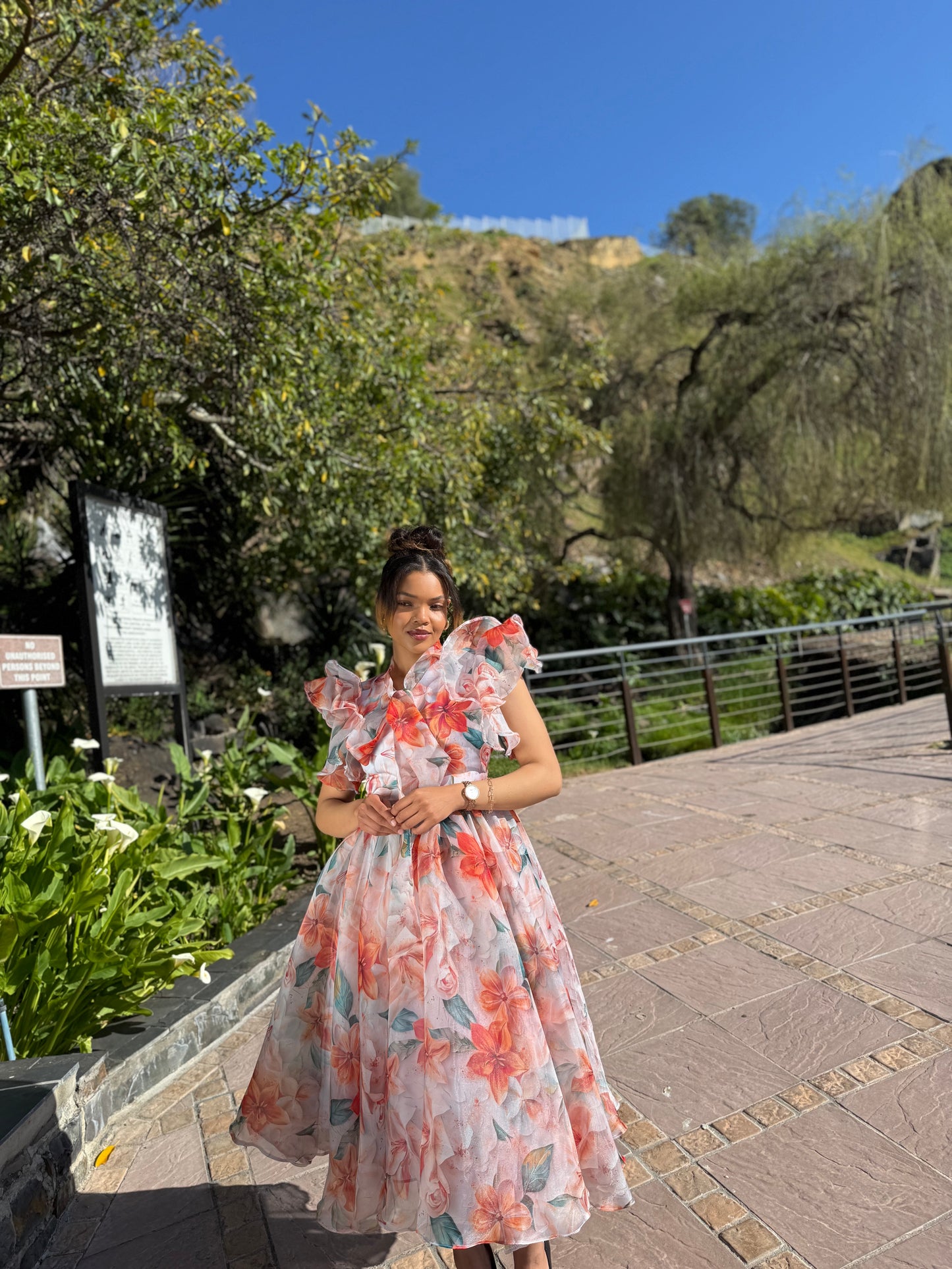 Shenell floral organdy dress