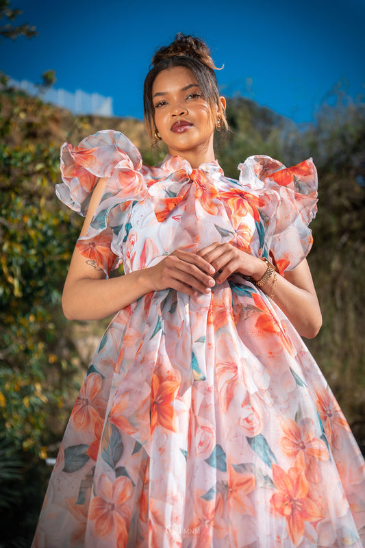 Shenell floral organdy dress