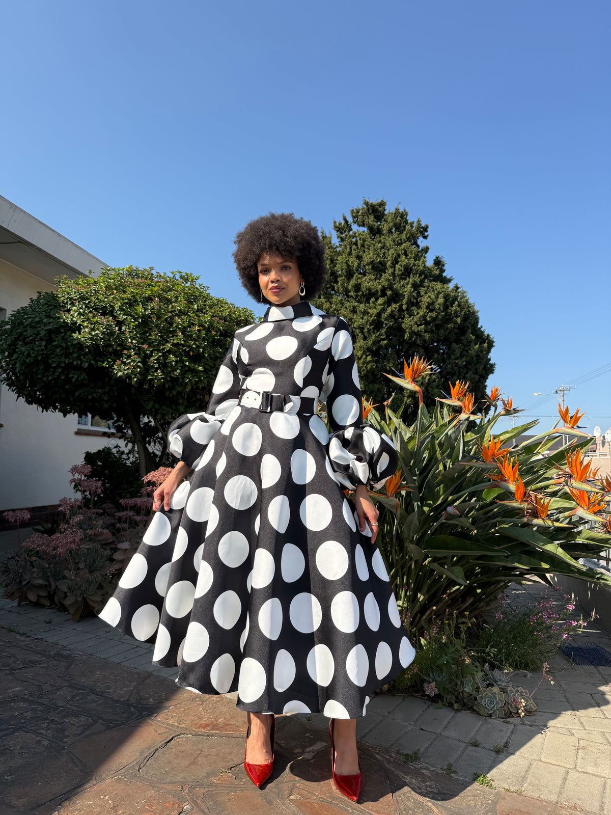 Shenell Polka Belle